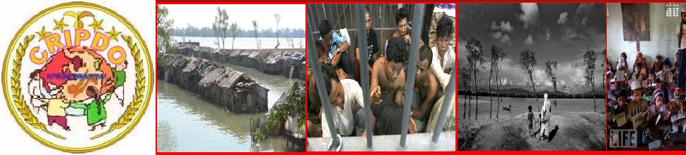 Community Rohingya Isslam Pro-Democracy Organization(CRIPDO)