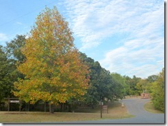 Autumn colors start early