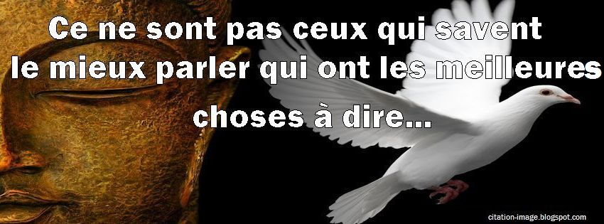 Citation en image : photo citation