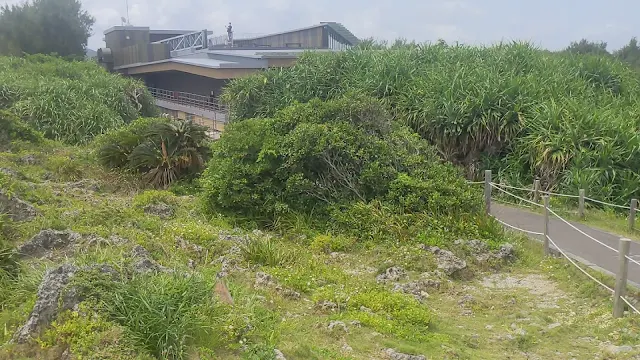 【沖縄旅行】万座毛は沖縄の絶景スポットでした！