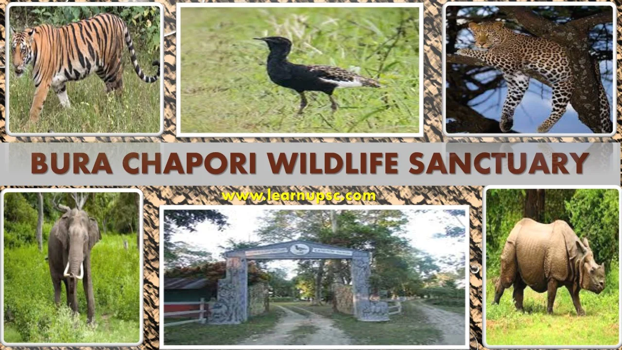 Bura Chapori Wildlife Sanctuary
