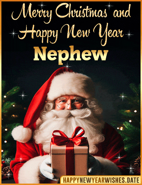 Merry christmas and happy new year Nephew gif