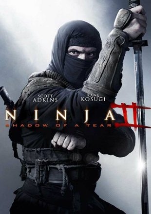 Ninja: Shadow of A Tear 2013 Dual Audio 720p BluRay x264 ESubs HD Mp4