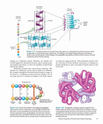 Vander's Human Physiology 15th Edition