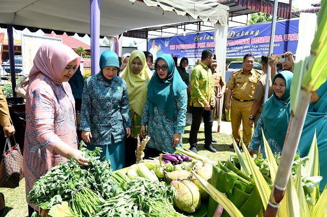 Nawal Lubis Bangga PKK Tebingtinggi Miliki Banyak Program yang Berjalan Baik