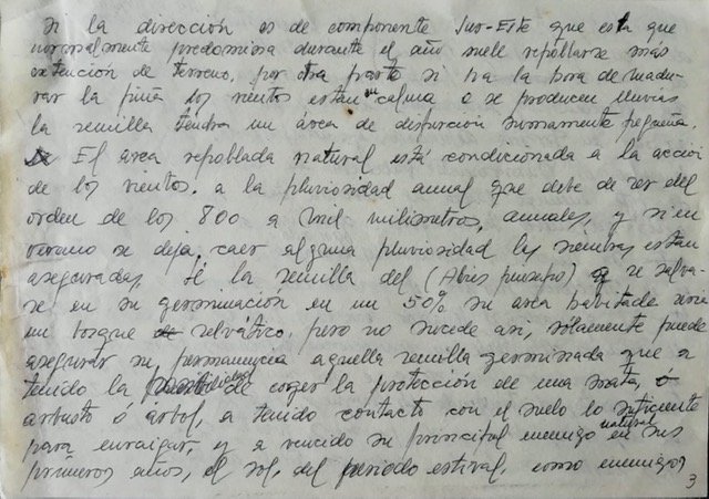 Fotografía del manuscrito inédito de José Pino Rivera, de marzo de 1976, donde recoge observaciones sobre la diseminación y germinación del pinsapo en el pinsapar de Yunquera (Málaga). Fuente: Archivo de José Pino Rivera.