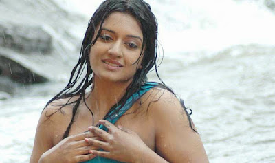 Malayalam Actress Vimala Raman Sexy Wet Pictures