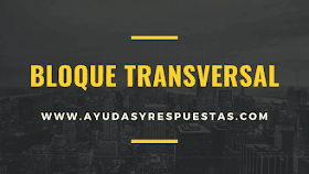 BLOQUE TRANSVERSAL 