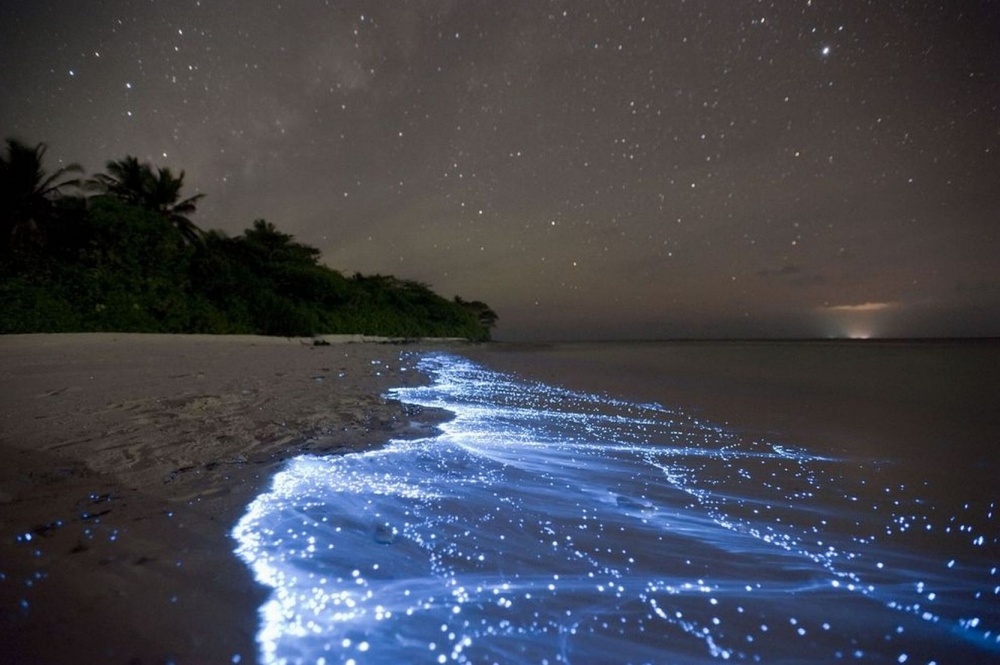 20 natural phenomena that are hard to believe