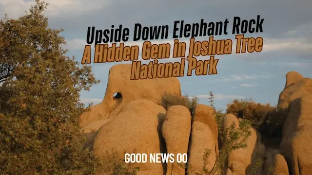 Upside Down Elephant Rock: A Hidden Gem in Joshua Tree National Park
