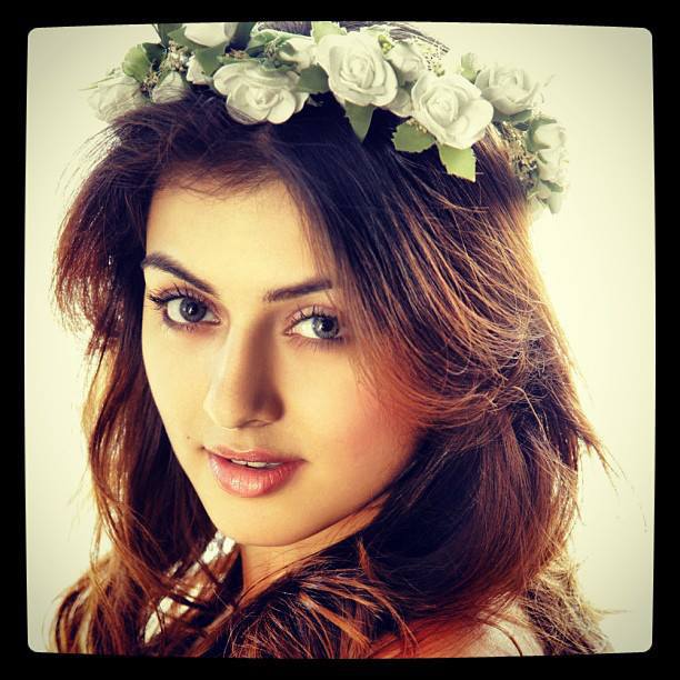 South Indian Actress Hansika Motwani Family Photos | Real-Life Photos