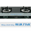 Bếp Gas Dương Bluestar NG 3500