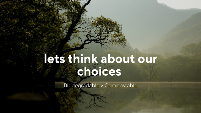 lets think about our choices words over  an atmospheric image of water and trees