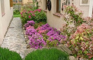 Design a garden, how to choose flowering plants