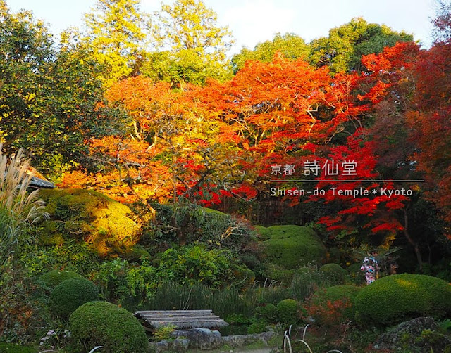 詩仙堂：庭園の紅葉