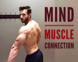 Mind-muscle connection: How to improve your focus during exercises.