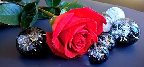               Projektuj Razem z CoralRose 
