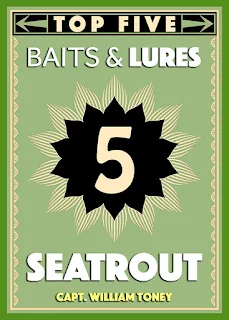 in the spread top 5 seatrout baits and lures