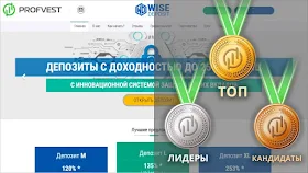 Результаты работы WiseDeposit