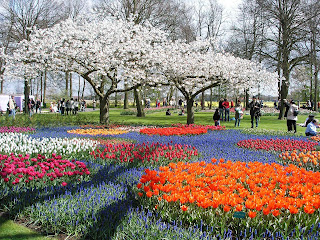 Canteiros de tulipas, uma profusão de cores e beleza em  Keukenhof, Holanda