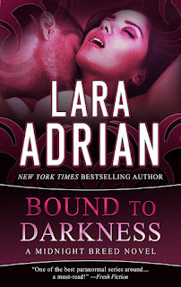 Bound to Darkness 13