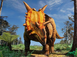 Xenoceratops foremostensis