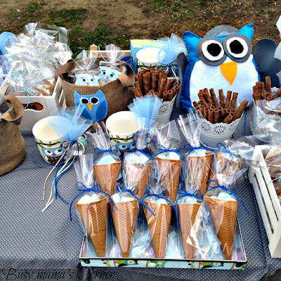 owl boy baptism candy bar