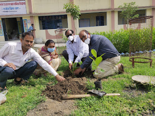 हरियाली अमावस्या पर किया पौधरोपण