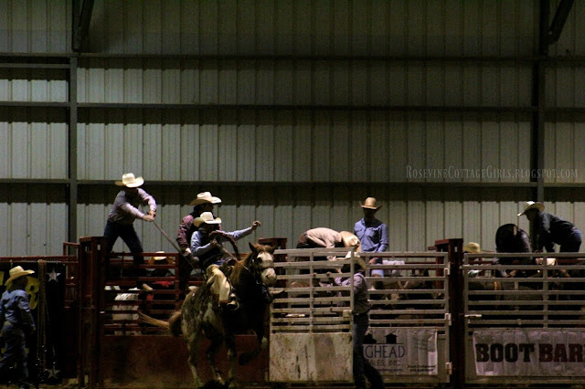 #rodeo #broncriding #cowboys #cows #horses