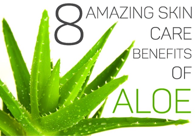 Aloe vera skin benefits