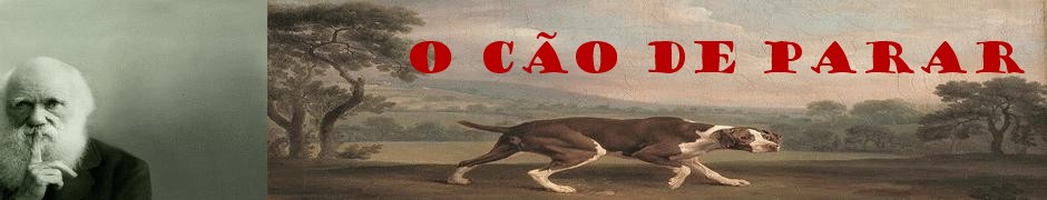 O Cao de Parar