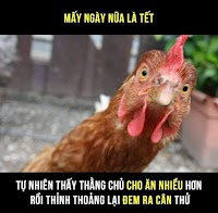 Chuyện lạ ngày cận tết 🤣