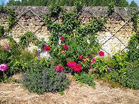 Ancient Agriculture - Espalier