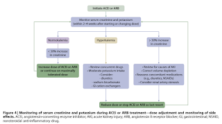 Monitoring During ACEi or ARB Treatment