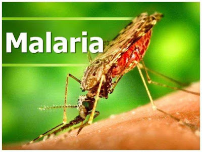 Effects of malaria