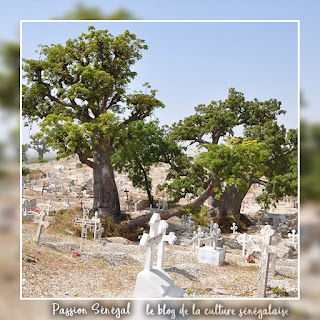 Découvrir Joal et Fadiouth, l'île aux coquillages et au cimetière mixte chrétiens musulmans, ville de la région de Thiès et Mbour, Petite-Côte au Sénégal, voyage et tourisme pour les vacances - Voyage Passion Sénégal