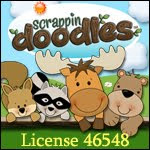 My reseller license