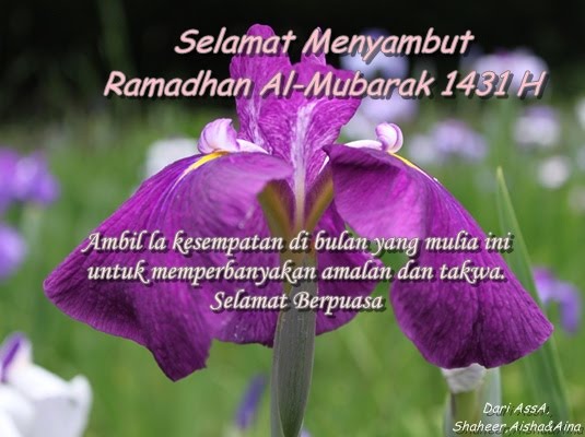 Beautiful Moments: Selamat Menyambut Ramadhan 1431H