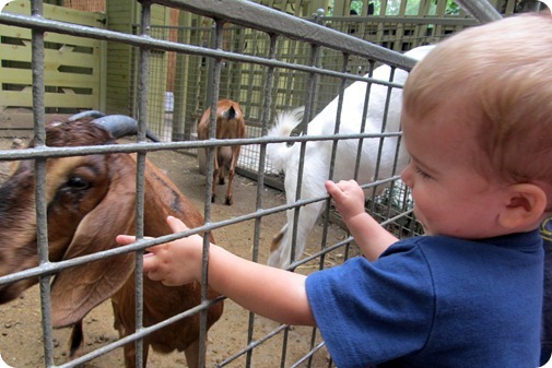 Central Park Zoo