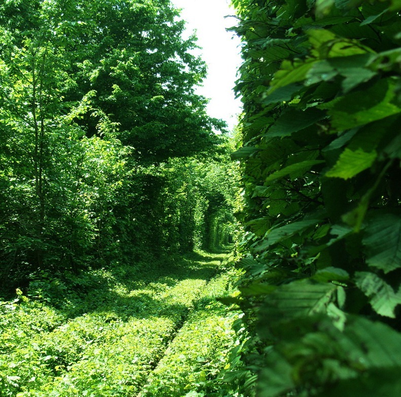 tunnel-of-love-7