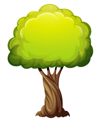 Зелёное кустообразное дерево со стволом похожим на винт или шуруп