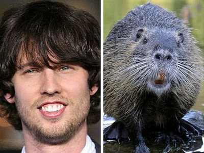 Funny - Similarity Between Celebrities And Animals