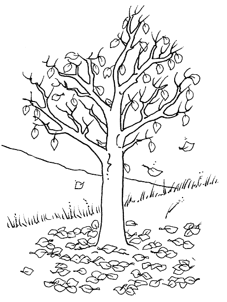 dibujos de otoño