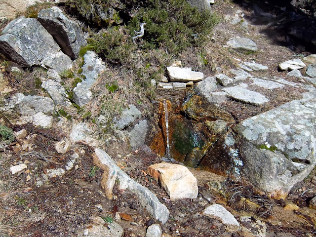 Fuente de la Mina o de la Cierva - Alfonsoyamigos