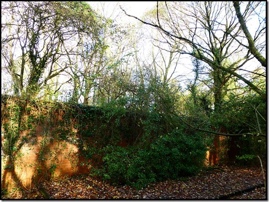 2403Birchwood03
