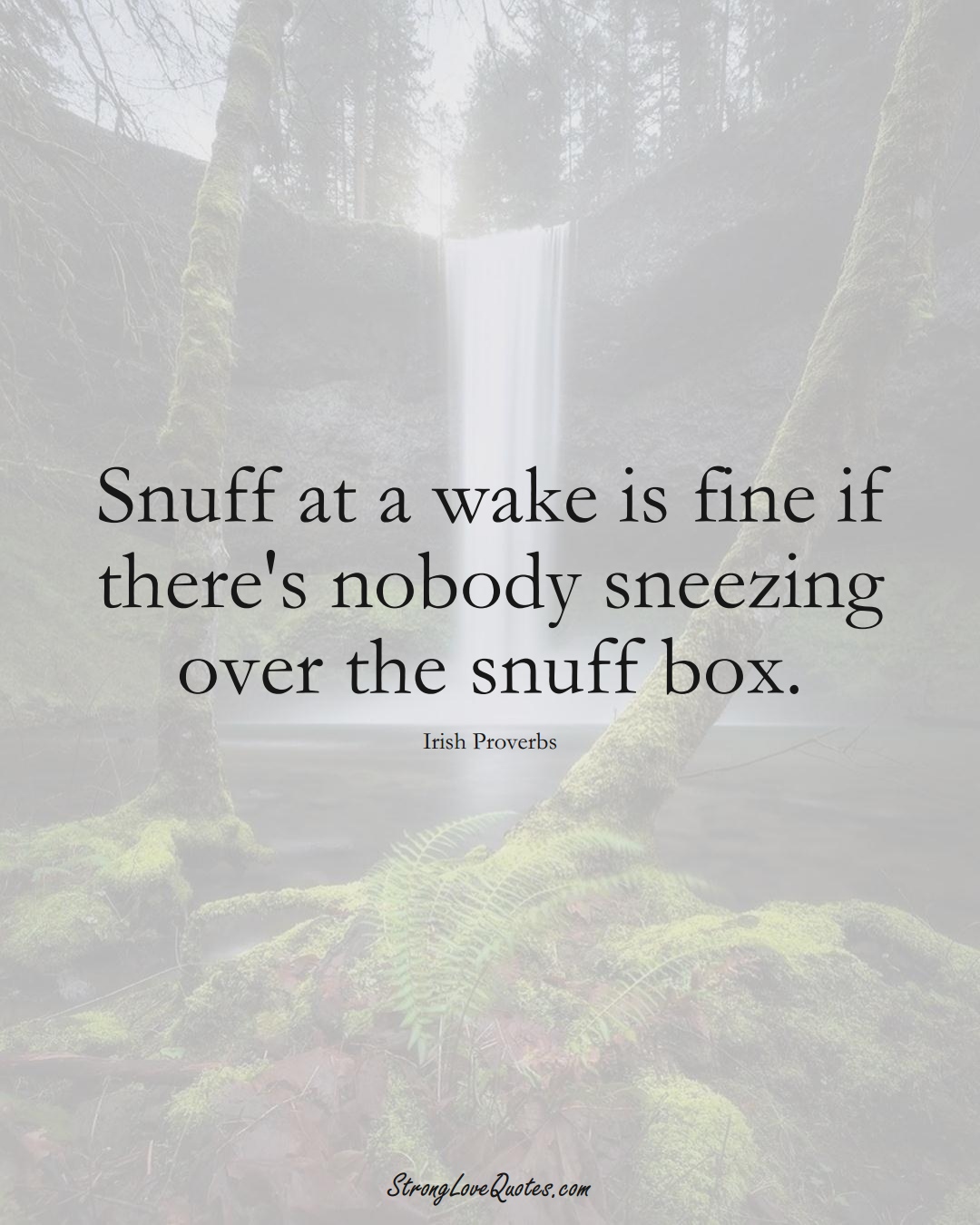 Snuff at a wake is fine if there's nobody sneezing over the snuff box. (Irish Sayings);  #EuropeanSayings