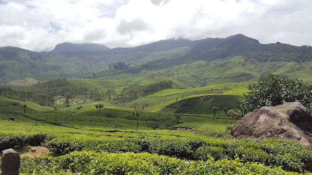 Agriculture Kerala 