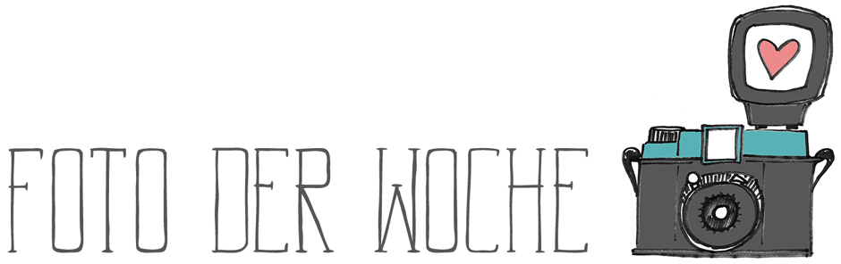 Foto der Woche