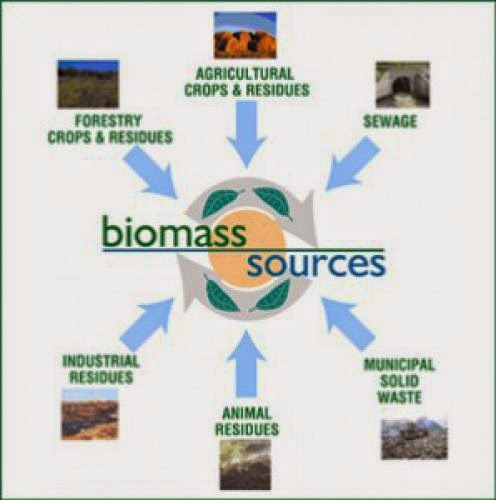 What Is Biomass Energy