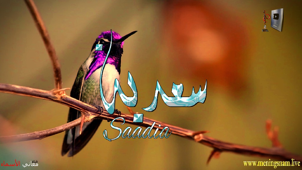 معنى اسم, سعدية, وصفات, حاملة, هذا الاسم, Saadia,